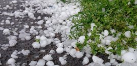 Hava kəskin dəyişir - Sabah bu ərazilərə dolu və qar yağacaq