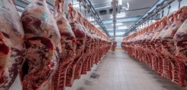 Dünyada mal əti istehsalı azalacaq – PROQNOZ