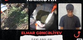 Qarğıdalı sahəsində narkotik əkdi - VİDEO