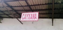 Samuxda bədbəxt hadisə - Çayxanada öldü