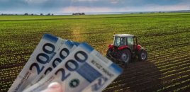 2027-ci ildən fermerlərə böyük dəstək: Yeni subsidiya məbləğləri