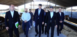 Göygöldə aqrar sektor canlanır: yeni layihələr həyata keçirilir