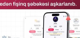 Ödəniş sistemlərini təqlid edən saxta saytlar və hesablar aşkarlandı - XƏBƏRDARLIQ