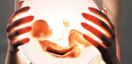Azərbaycanda abortların sayı artır, doğum isə azalır - Səbəb nədir?