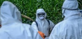 Konqoda Ebola həyəcanı: Yoluxanların sayı artdı