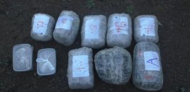 Ötən gün 40 kq narkotik vasitə dövriyyədən çıxarılıb