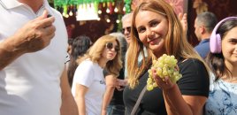 Üzüm, şərab və musiqi - Şamaxıda festival belə başa çatdı - Fotolar