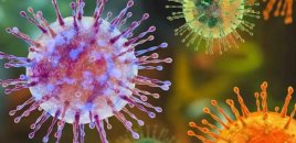 Ukraynada virus həyəcanı: Sürətlə naməlum infeksiya yayılır
