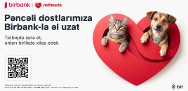 “Pəncəli Ürəklər” aksiyasına qoşularaq sevgimizi dəstəyə çevirək