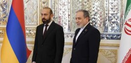 Mirzoyan və Əraqçi TRIPP layihəsinin imkanlarını müzakirə ediblər