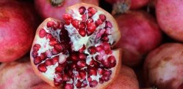 Nardakı ağ pərdə özü qədər faydalıdır