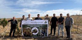 “Yaşıl Qarabağ” azad olunmuş ərazilərdə 500-dən çox ağac əkib - FOTOLAR