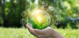 Azərbaycanın 2060-cı ilədək xalis sıfır emissiya hədəfinə nail olması üzrə uzunmüddətli strategiya təsdiqlənib