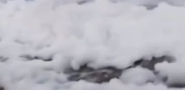 Xəzərin suyunda naməlum köpüklənmə ilə bağlı açıqlama