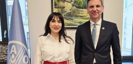 Azərbaycan ilə FAO arasında əməkdaşlıq müzakirə olunub