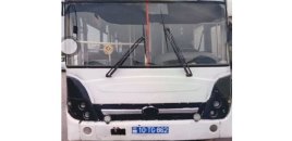 Narkotik istifadə edən avtobus sürücüsü həbs olundu