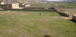 Bələdiyyədən torpaq alanlar çıxarış ala biləcək? – AÇIQLAMA