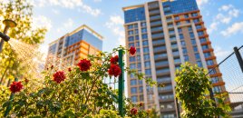 City Garden Narimanov-da təməldən mənzillər FAİZSİZ kreditlə satışda!