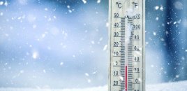 Alimlər soyuq temperaturun ömrü uzatmağa kömək edə biləcəyini müəyyənləşdiriblər