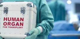 Ürək transplantasiyasının icbari tibbi sığorta hesabına icra edilməsi təklif olunub