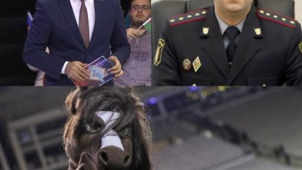 Azərbaycanda idman polisi yaradılmalıdır? - "Qarabağ"ın maskotu "Kəhər" müzakirə yaratdı