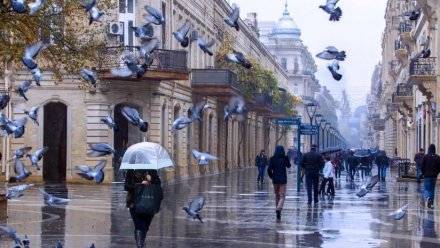 Bu tarixdə instensiv yağış yağacaq - Dolu düşəcək