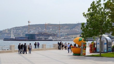 Bakıda da peyda olmağa başlayır - Qarşınıza çıxsa, dərhal uzaqlaşın