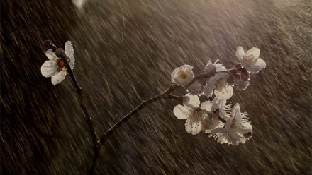 5 gün yağış yağacaq - Xəbərdarlıq