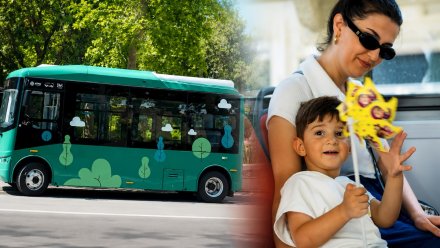 Bakıda bu avtobuslar pulsuz oldu - VİDEO