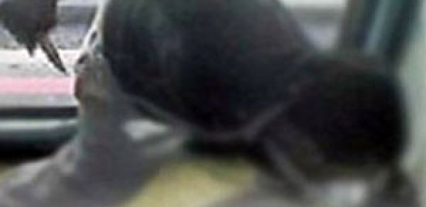 Sumqayıtda 25 yaşlı oğlan küçənin ortasında öldürüldü