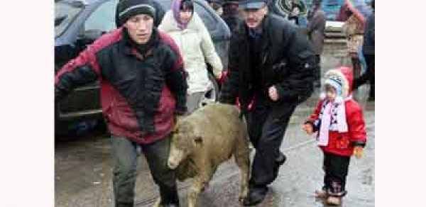 Polis qurban kəsənlərə mane oldu