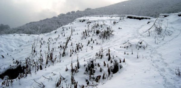 Qar yağdı, işıqlar söndü