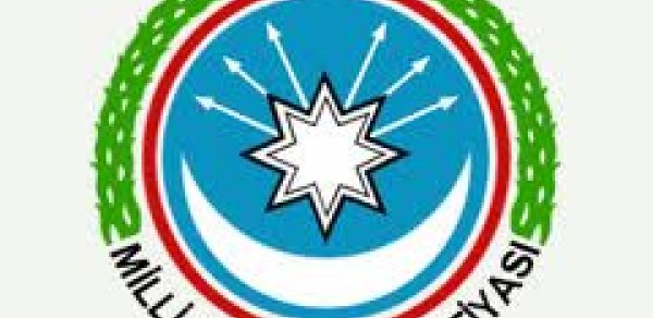AMİP yenə İctimai Palataya 