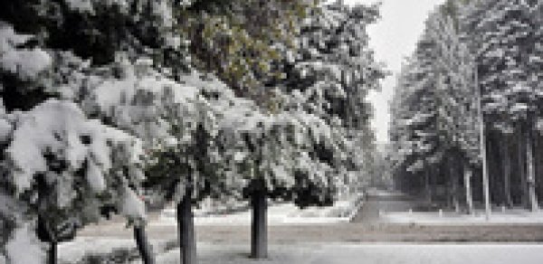 Yenə donacağıq:Temperatur mənfi 8 dərəcəyə enəcək