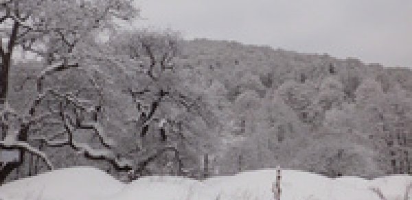 Azərbaycanın qərb bölgəsində şaxtalı hava şəraiti hökm sürür