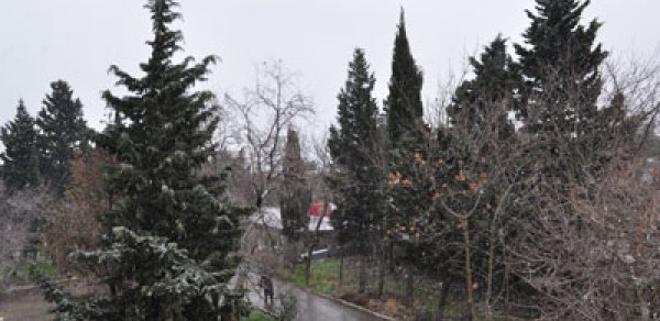 Azərbaycanda havalar mülayimləşəcək