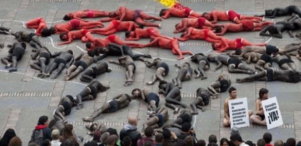 Öküzlərin hüquqlarının qorunması üçün çılpaq aksiya - FOTOLAR