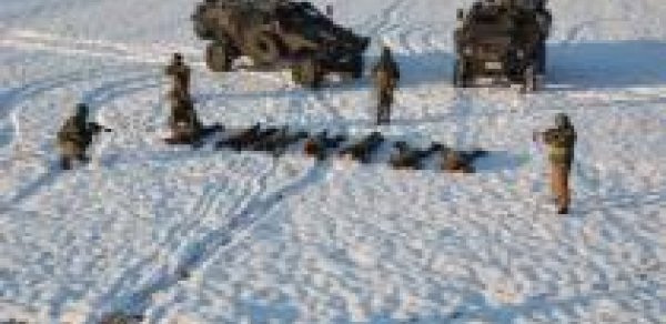 Türkiyədə 15 terrorçu öldürüldü