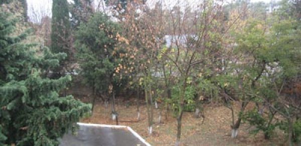 Yağış yağacaq