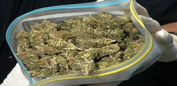 11 kiloqram narkotik vasitə dövriyyədən çıxarıldı