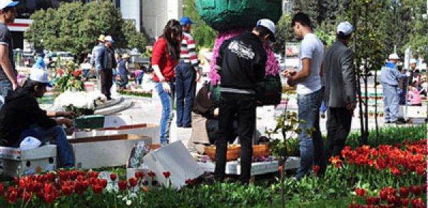 30 Aprel günü Binəqədidə Gül Bayramı olacaq