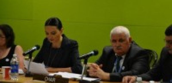 Qənirə Paşayeva BMT-də Ermənistanı ifşa etdi
