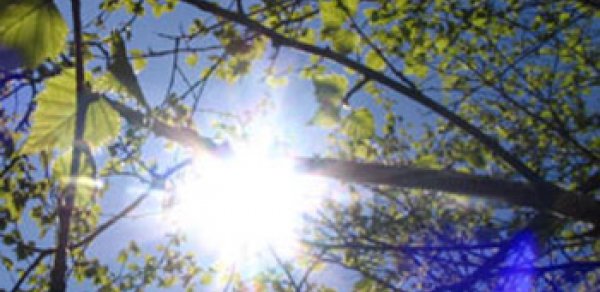 Azərbaycanda havanın temperaturu yüksələcək