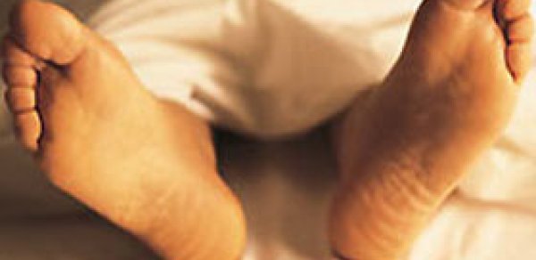 50 yaşlı bağban ağacdan yıxılaraq öldü
