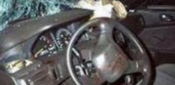 Azərbaycanda yol dəhşəti: 7 ölü, 15 yaralı