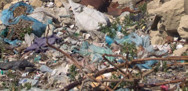 Bakıda 41 qanunsuz zibilxana aşkarlandı