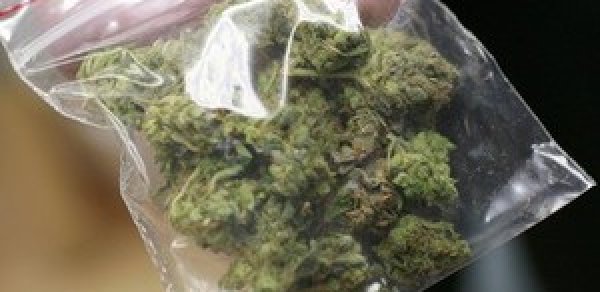 Bakı sakinindən 3 kiloqram marixuana götürülüb