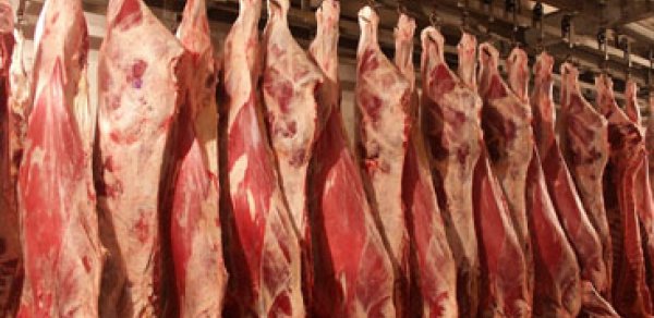 Qurban bayramı öncəsi ətin qiymətində artım gözlənilir?