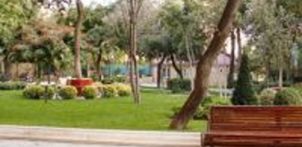 Bakıda 77 yaşlı alim parkda öldü