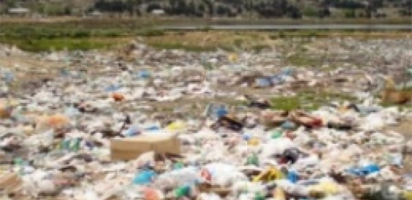 Binə Ticarət Mərkəzinin yaxınlığındakı zibilliklər yığışdırılır